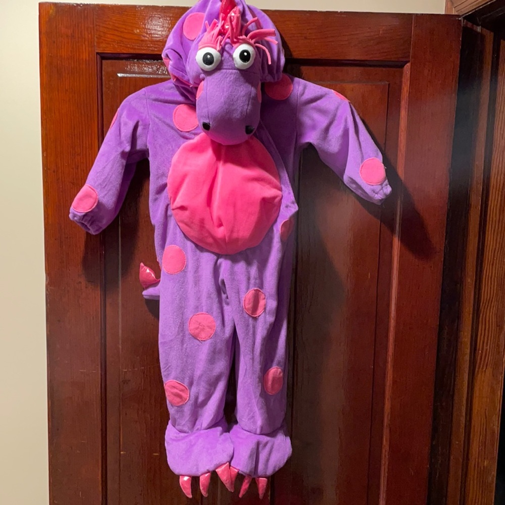 Girls dinosaur costume